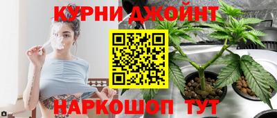 PSILOCYBIN Бердск