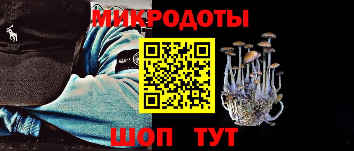 Псилоцибиновые грибы Psilocybe  Вход с VPN  Вольск  Галлюциногенные грибы мицелий 